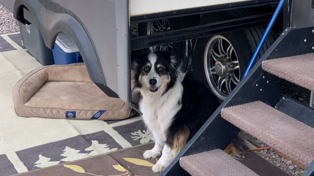 Silver Sage RV Park - pet friendly